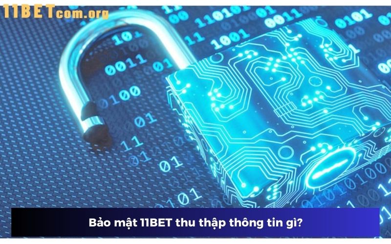 Bảo mật 11BET thu thập thông tin gì? Bảo mật 11BET thu thập thông tin gì?